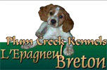 Plum Creek Kennels L'Epagneul Breton