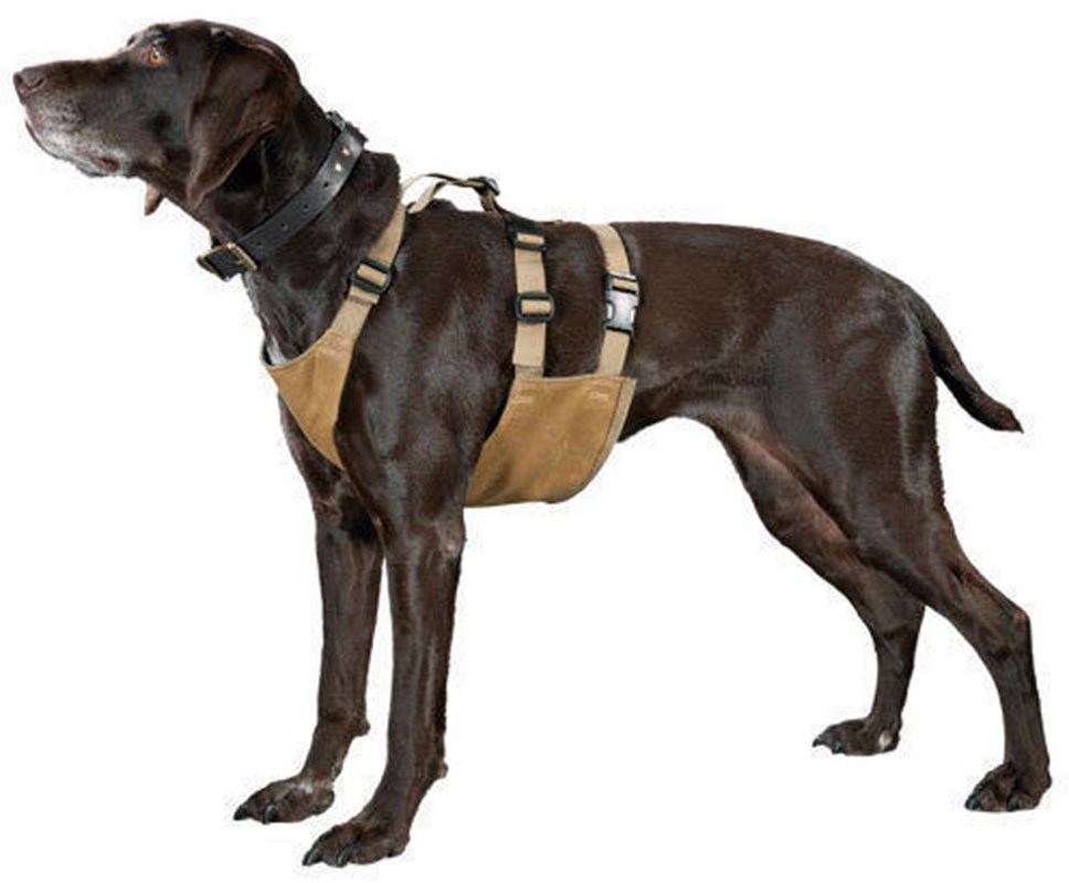Dog Chest Protector by Filson | Northland Dog Supply