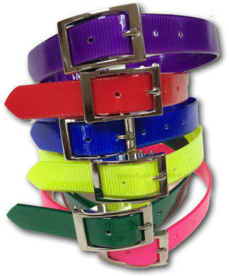 Biothane Dog collars in purple, red, blue, yellow, green and Pink
