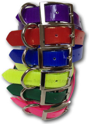At Northland Dog Supply we have multiple color biothane collars in 3/4