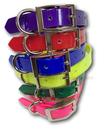 Our Hi Viz biothane standard collars for puppies are 3/4