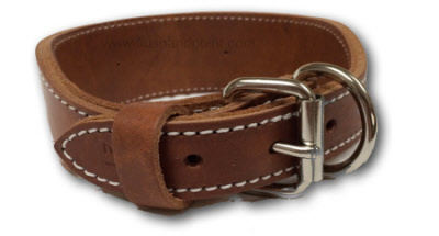 What a great Leather Collar- it's 2 ply oiled leather with built in reflecting orange for high visibility. 