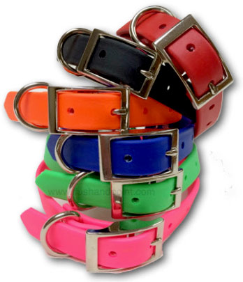 Northpoint Collars are 3/4