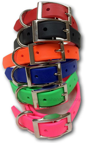 North Point puppy collars in 6 colors Red, Black, Blue, Lime, Orange and Pink