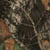Mossy Oak Break Up pattern sample
